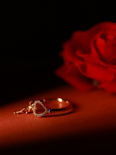 Anti Tarnish Heart Key Ring